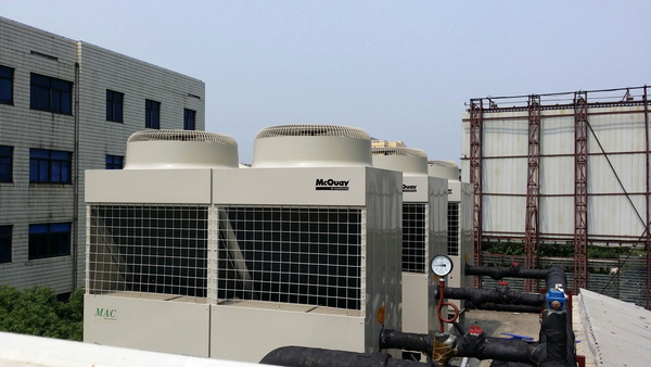 �Lɳ������{